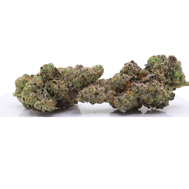 Grease Monkey - Image 2
