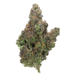 Grease Monkey