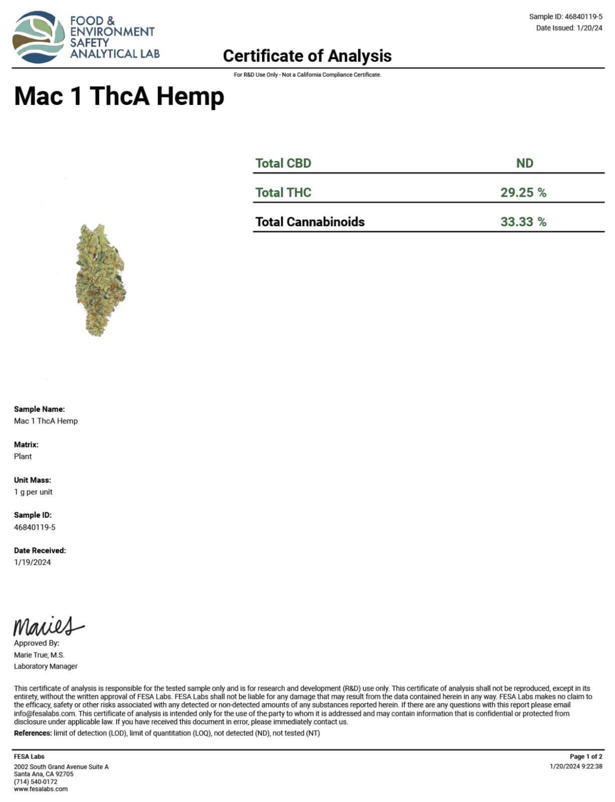 MAC Single Gram (Hybrid) - Image 2