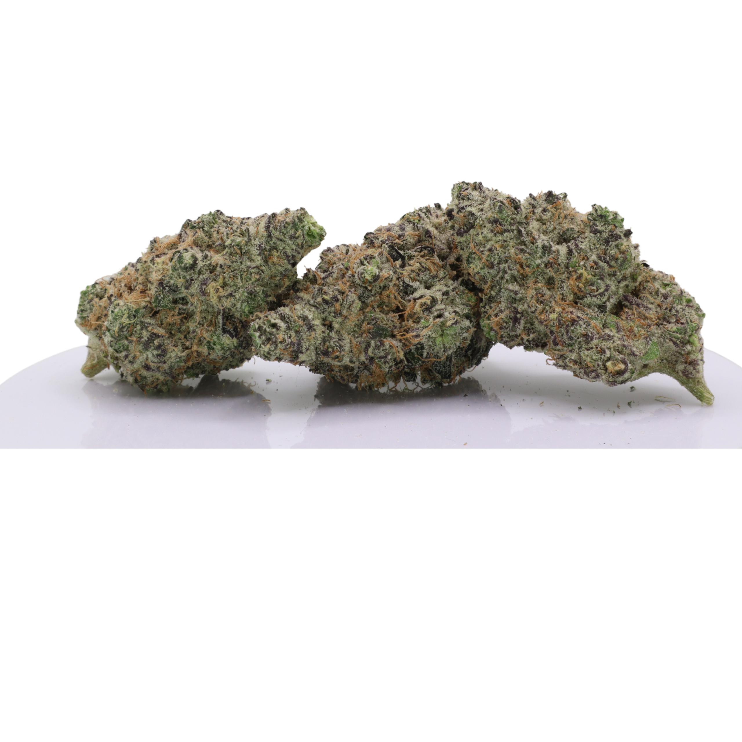 Wedding Crasher - Image 2