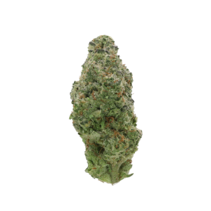Mother Mary