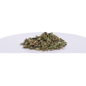 Watermelon Gushers-Shake-Potent and Affordable