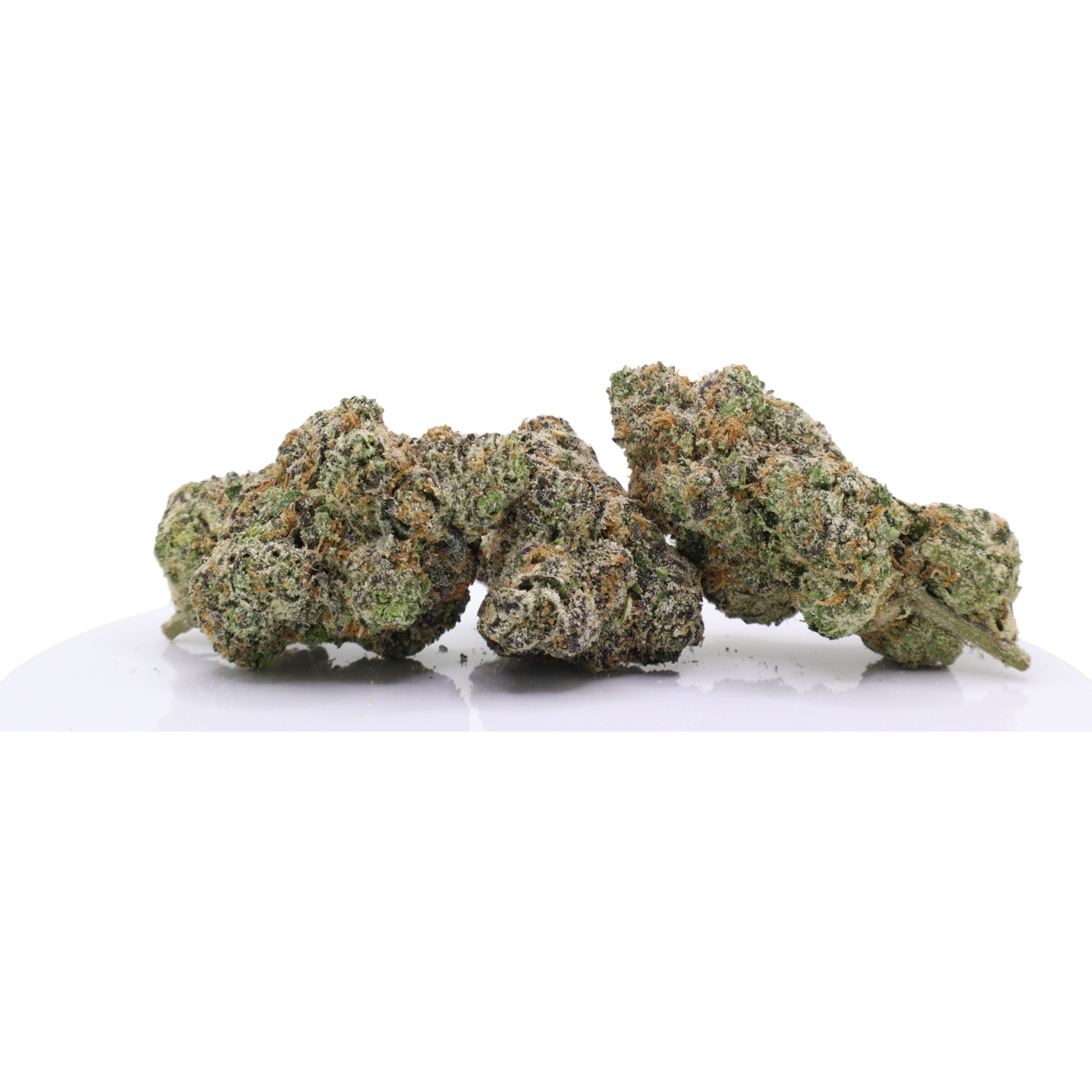 Apple Mintz - Image 2