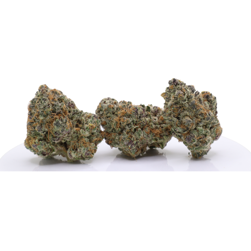 Gelato - Image 2