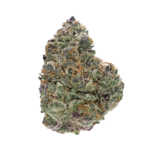 Gelato