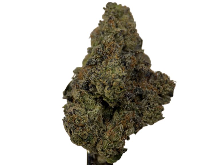 Lemon Cherry Gelato - Hybrid