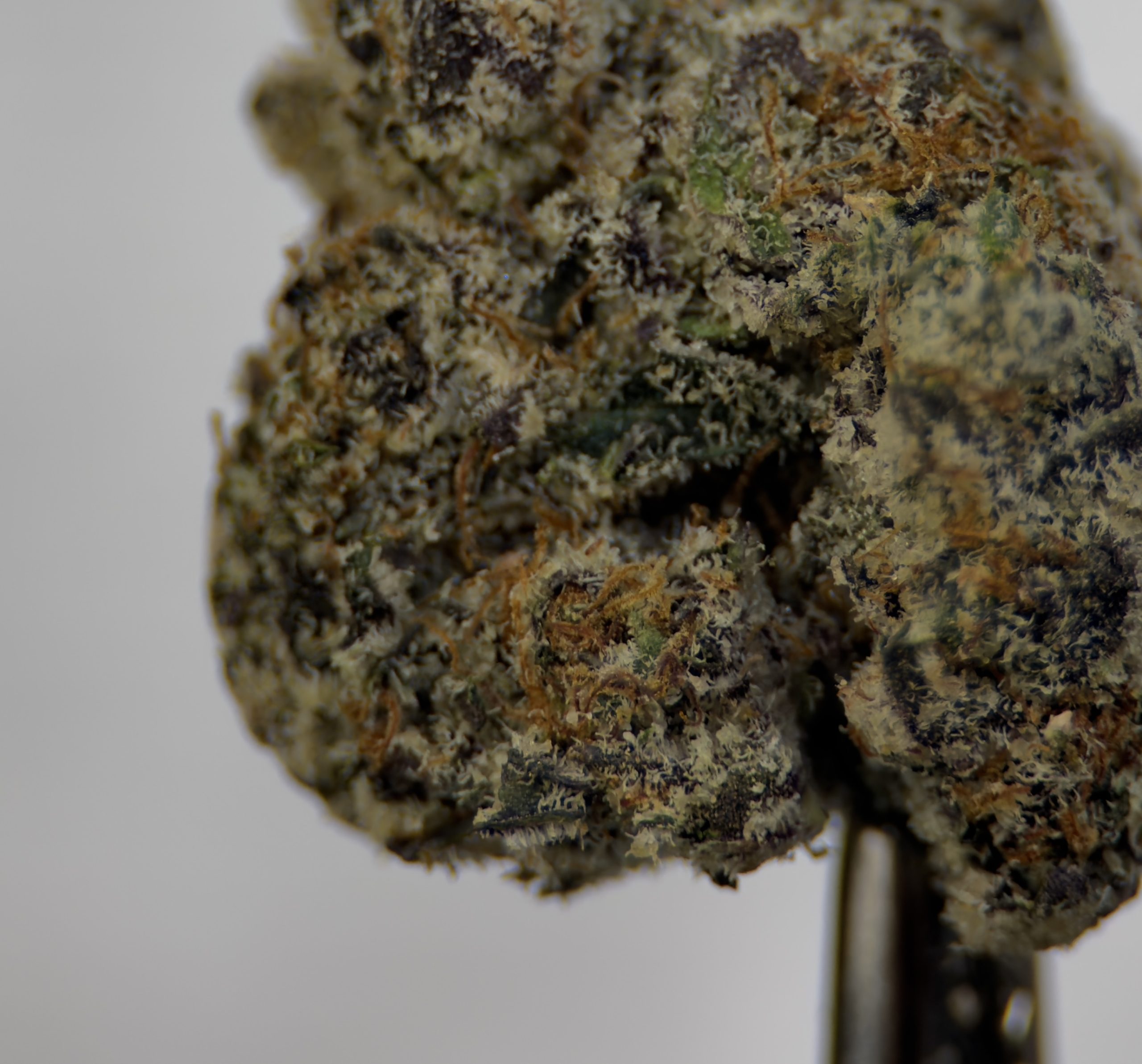 Private Reserve OG - Indica - Image 2