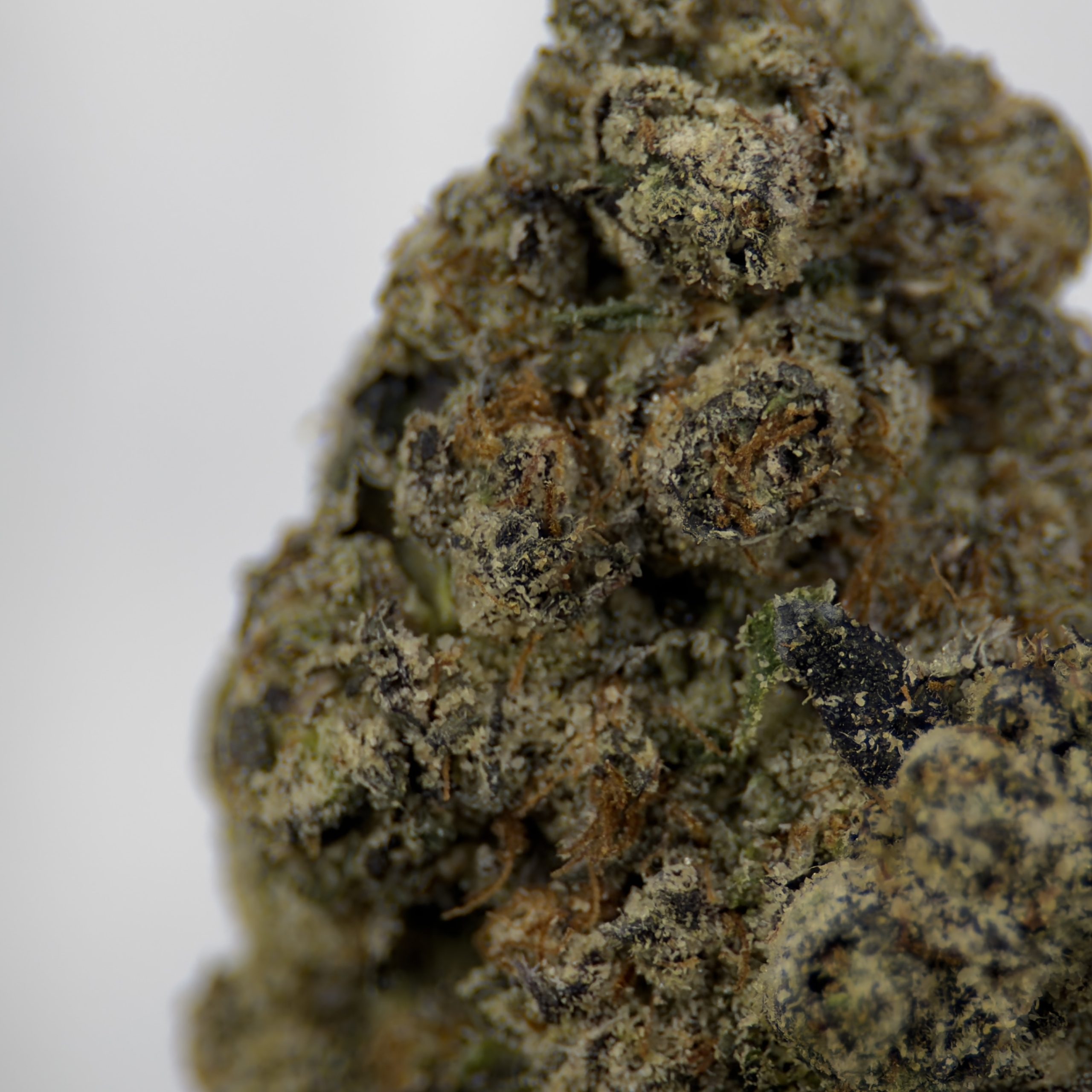 Blacked Out Cherries - Indica - Image 2