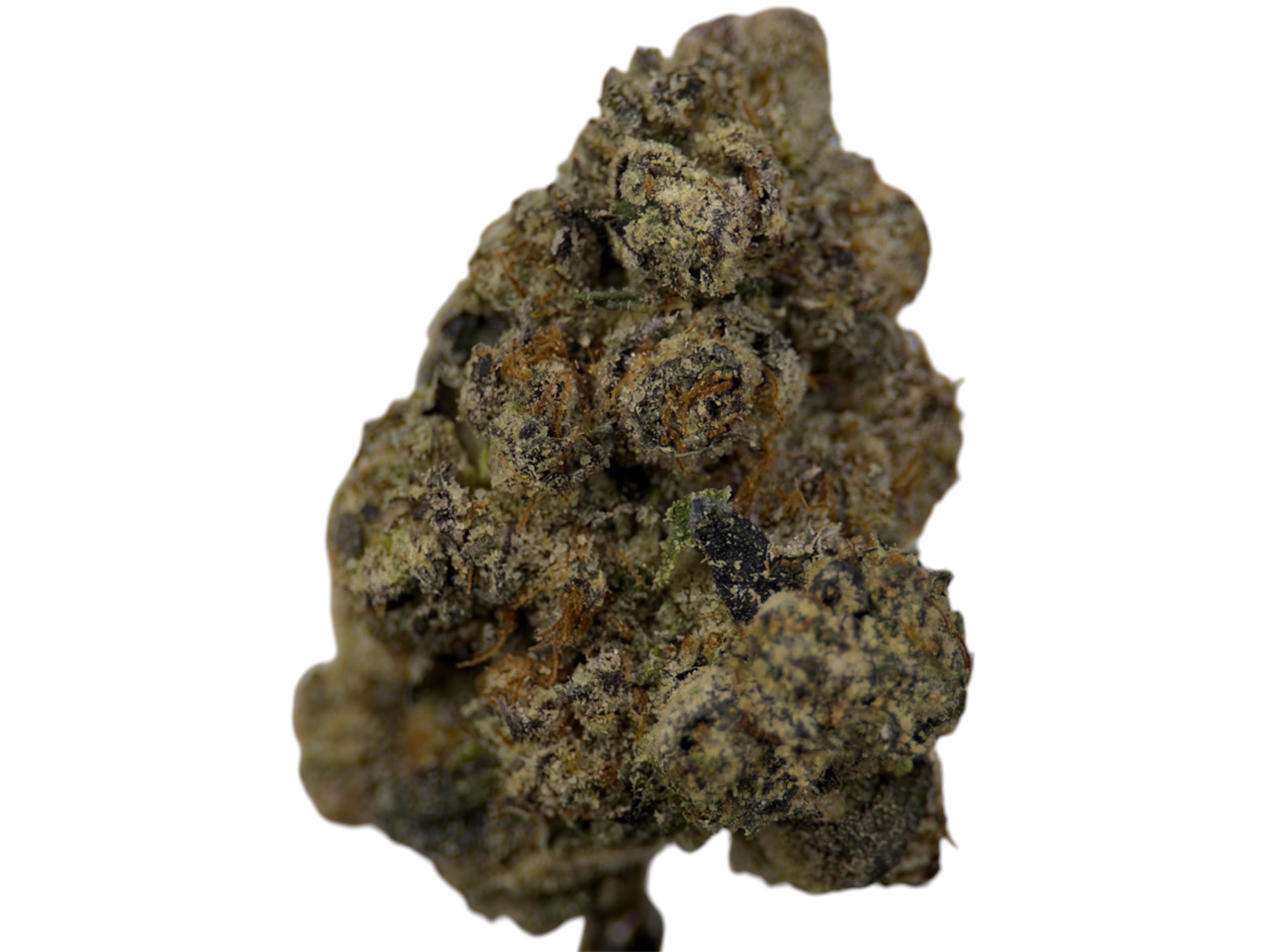 Blacked Out Cherries - Indica