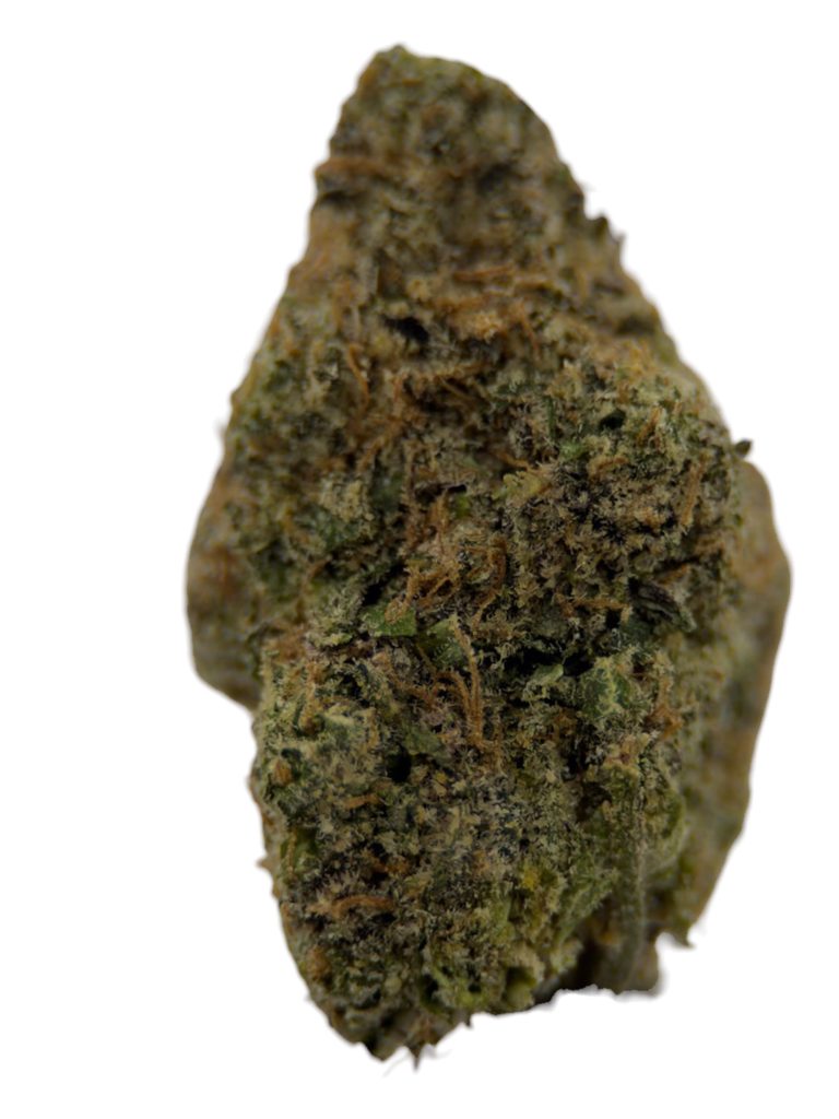 Northern Lights