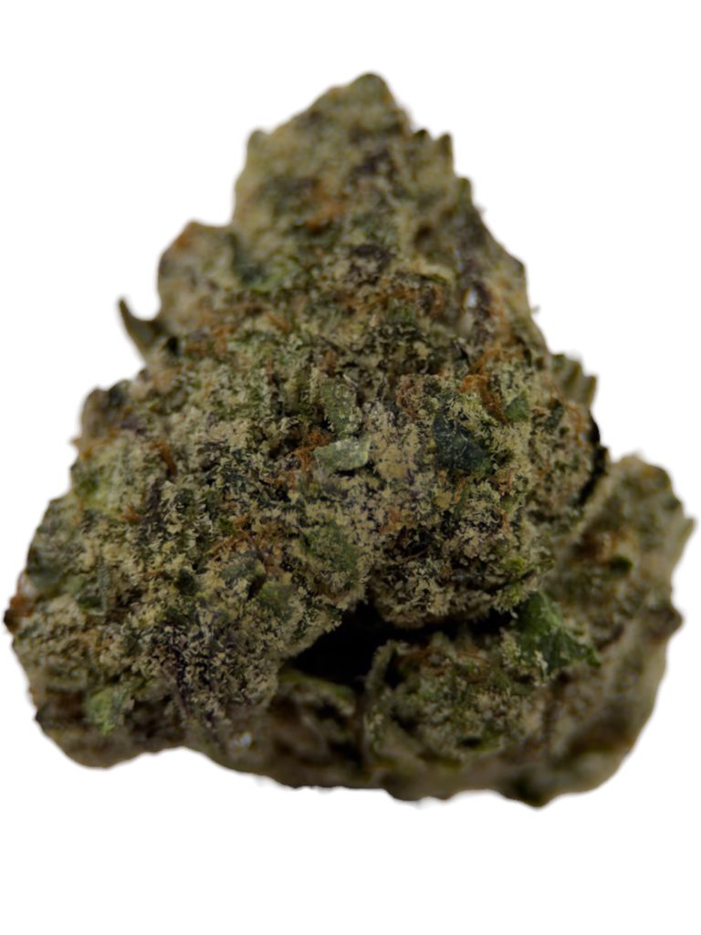 Gelato