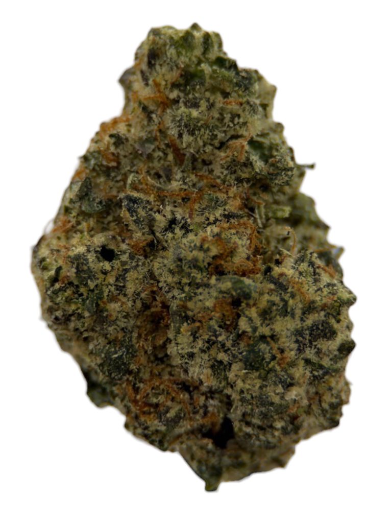 Jack Herer