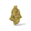 Lemon Skunk - Sativa