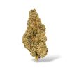 Blue Zushi - Hybrid