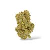 Gelonade - Sativa