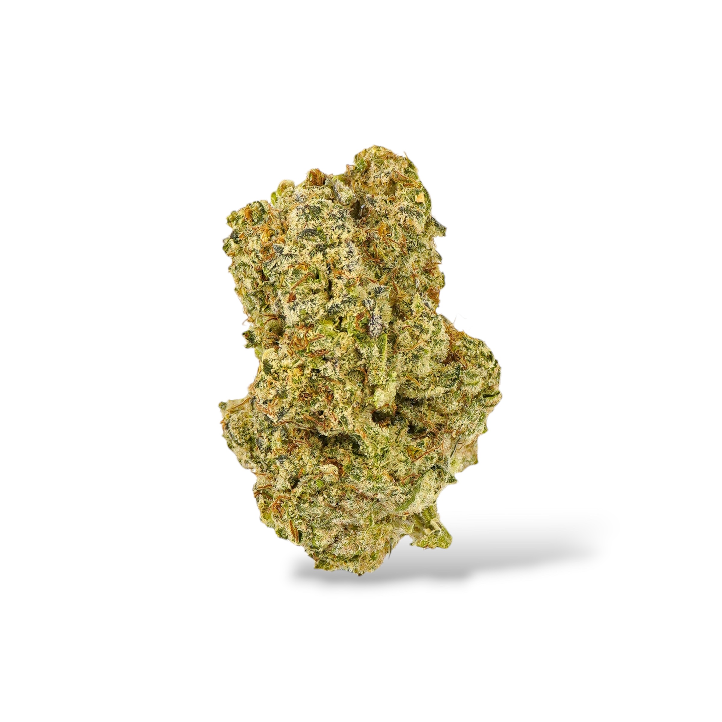 Gelonade - Sativa