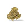 Gelato - Hybrid