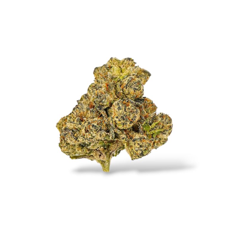 Gelato - Hybrid