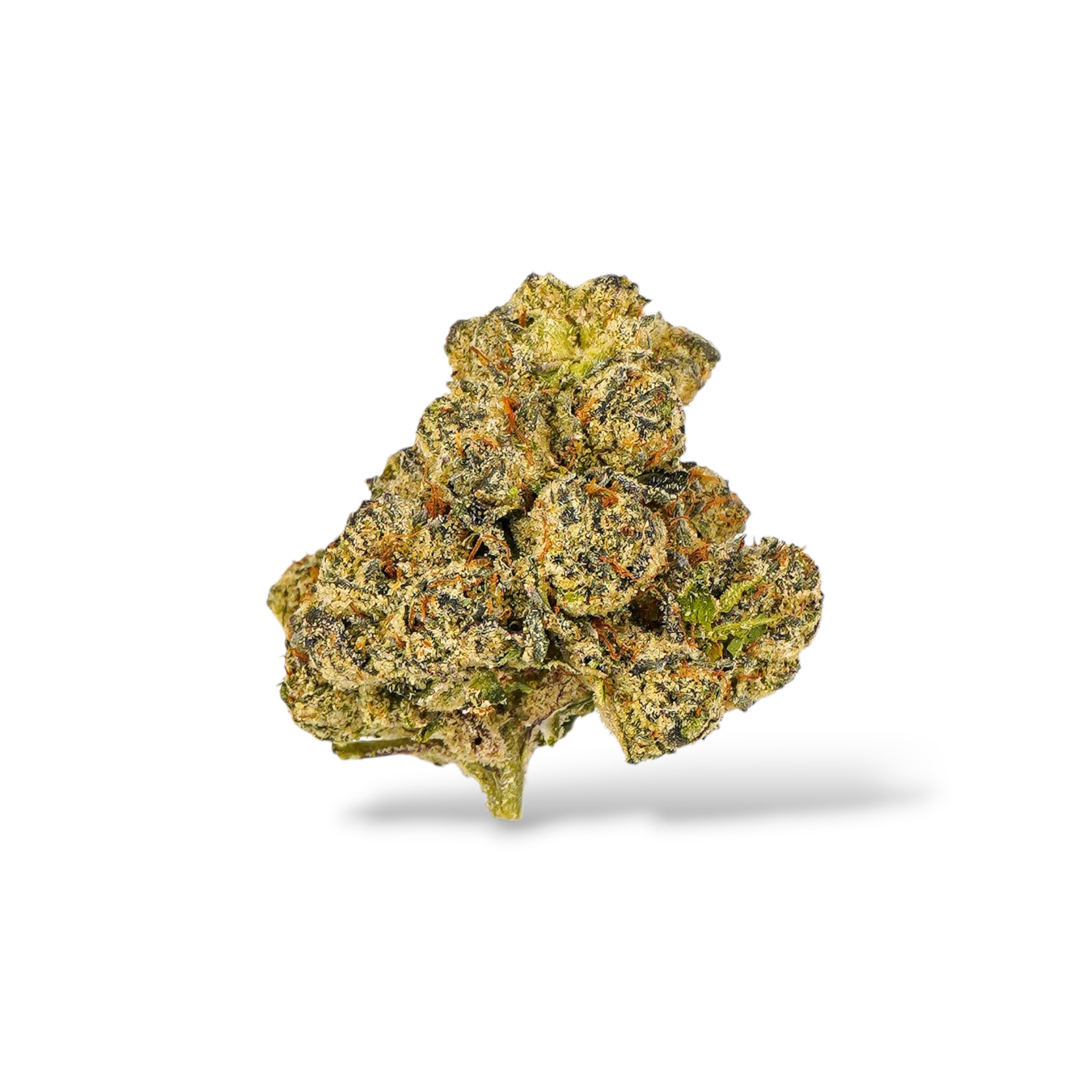 Gelato - Hybrid