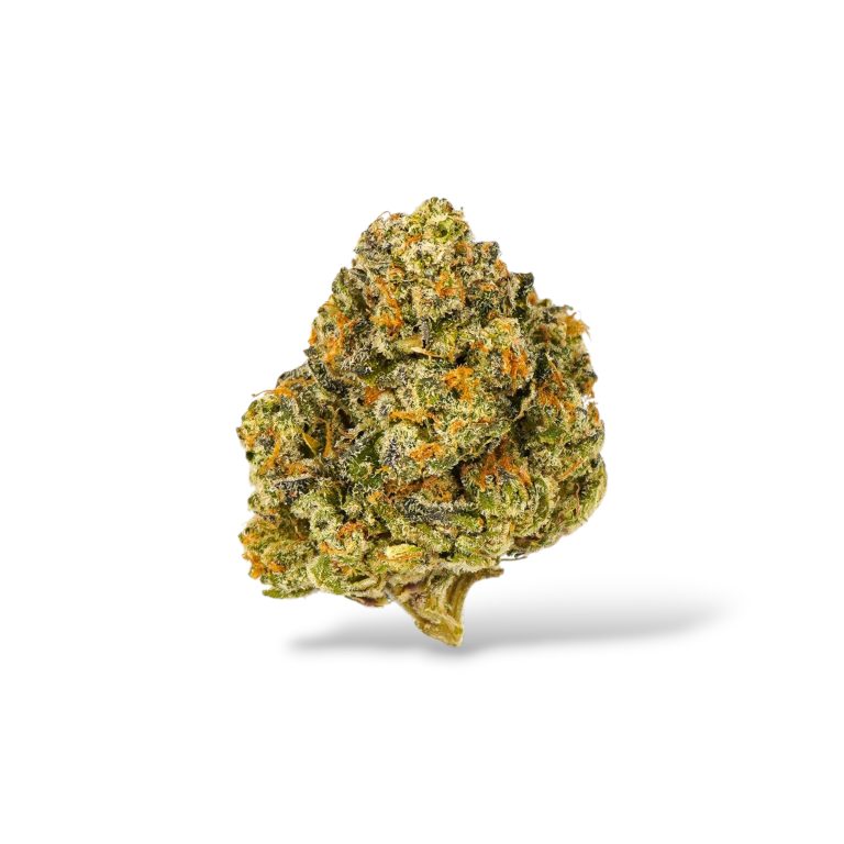 MAC 1 - Hybrid