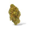 White Rhino - Hybrid