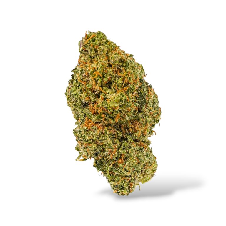 White Rhino - Hybrid