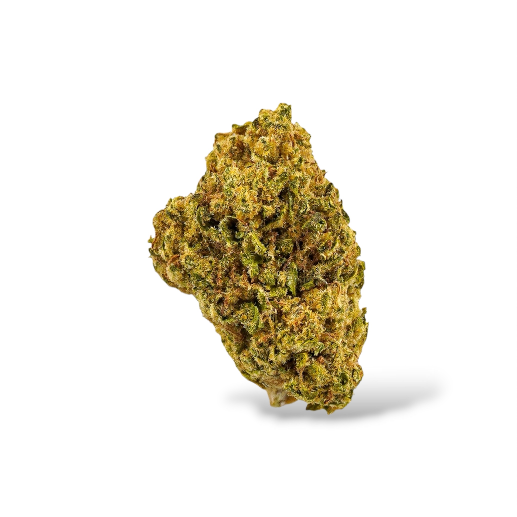 Tropicana Cookies 3.5 Grams (Hybrid)