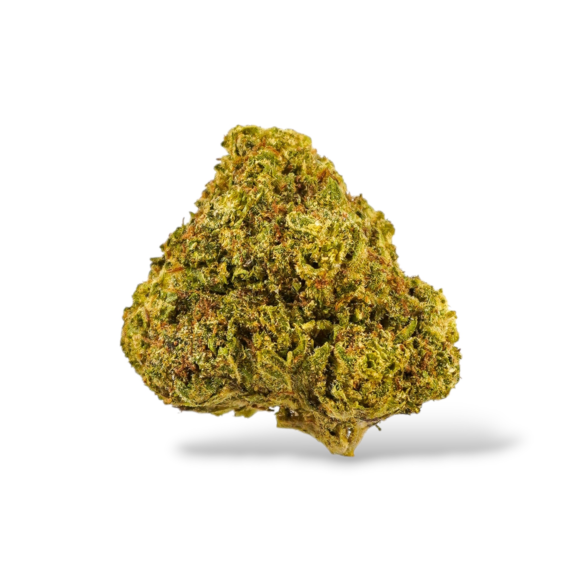 Amber Rose 3.5 Grams (Sativa)